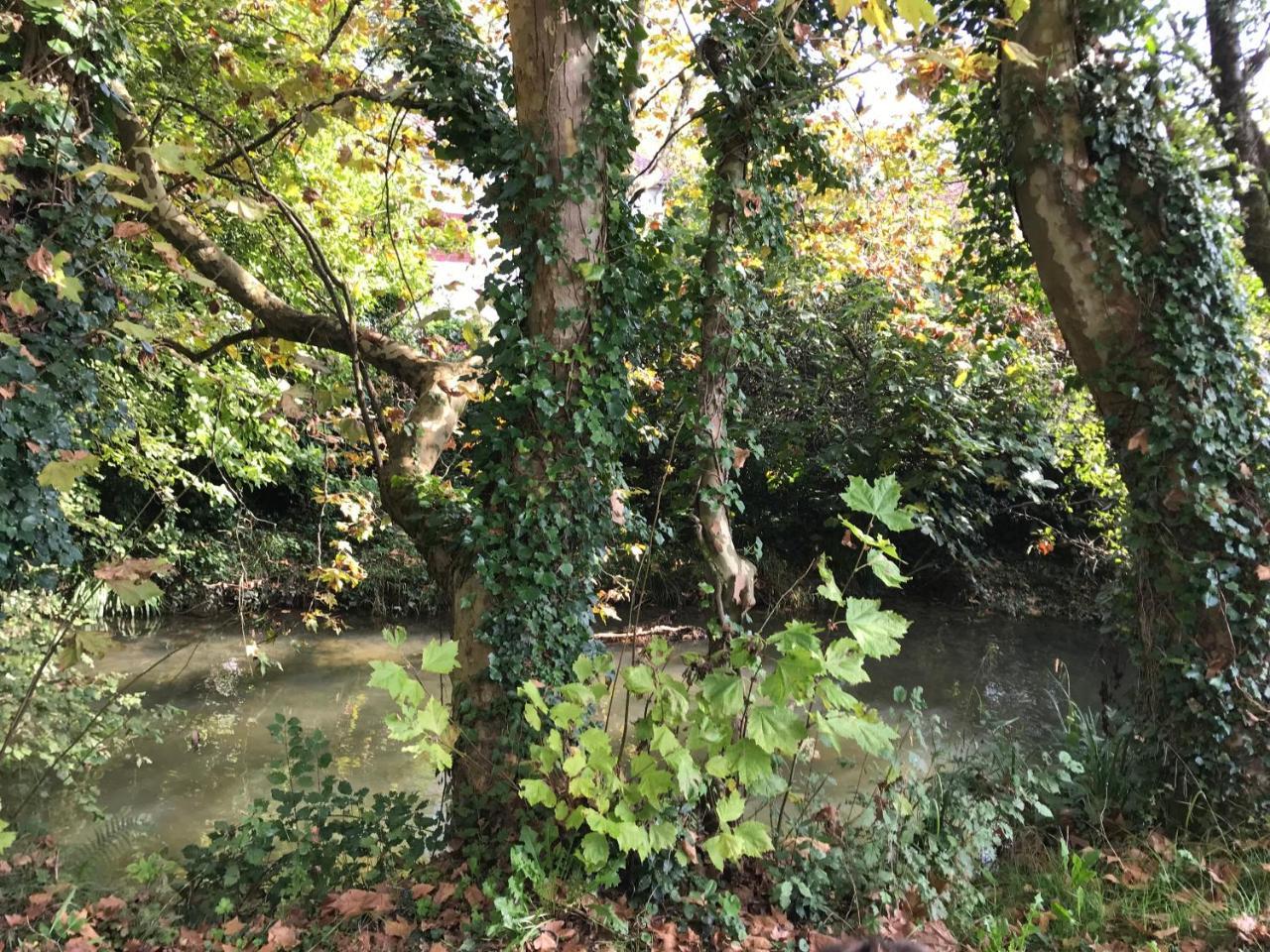 Camping Le Ruisseau Saint-André-de-Seignaux Zewnętrze zdjęcie