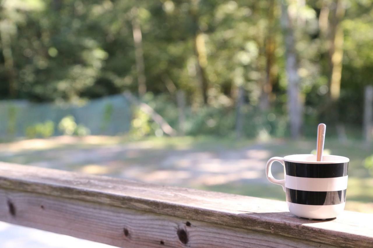 Camping Le Ruisseau Saint-André-de-Seignaux Zewnętrze zdjęcie